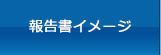 報告書イメージ