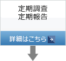 定期調査　定期報告