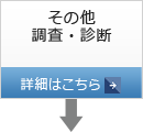 その他の調査・診断