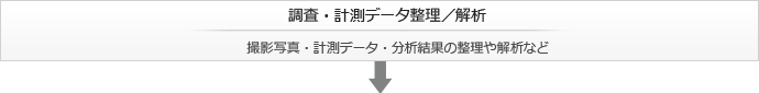 調査・計測データ整理／解析