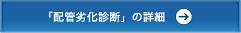 「配管劣化診断」の詳細