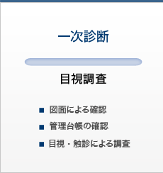 一次診断　目視調査